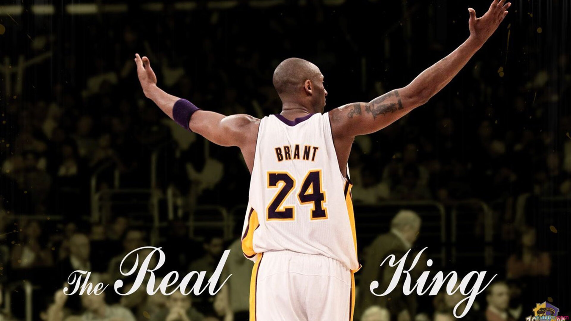 太空狼人杀“脑力决战”全球总决赛火热登场